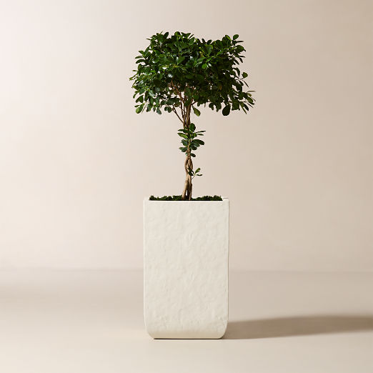 Leyla Ivory Faux Plaster Indoor/Outdoor XL Planter 32"H