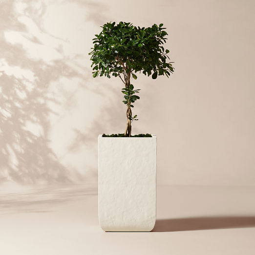 Leyla Ivory Faux Plaster Indoor/Outdoor XL Planter 32"H