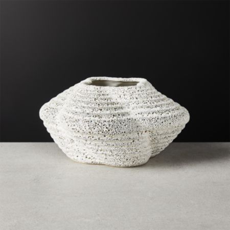 Lotus Low Planter Reviews Cb2