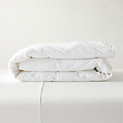 Hypoallergenic Lightweight Down-Alternative King Duvet Insert