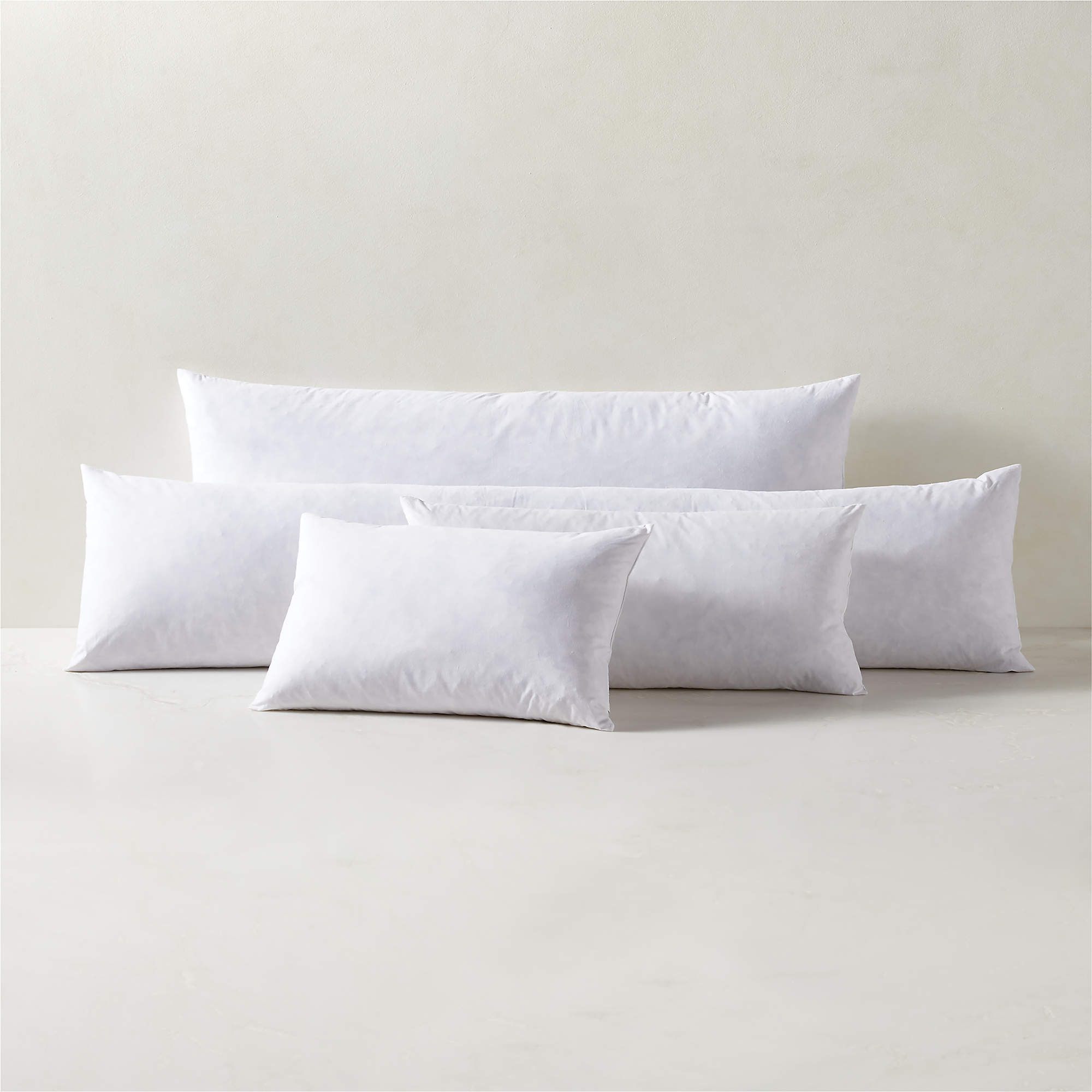 FeatherDown Rectangular Modern Throw Pillow Inserts CB2