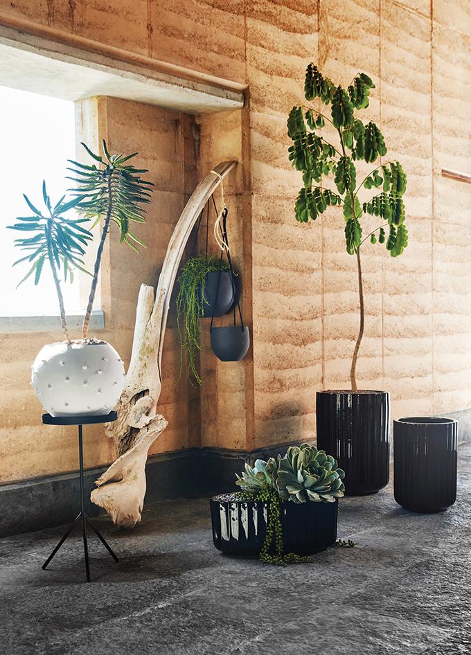 Indoor planters 2024
