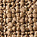 Sepia Brown