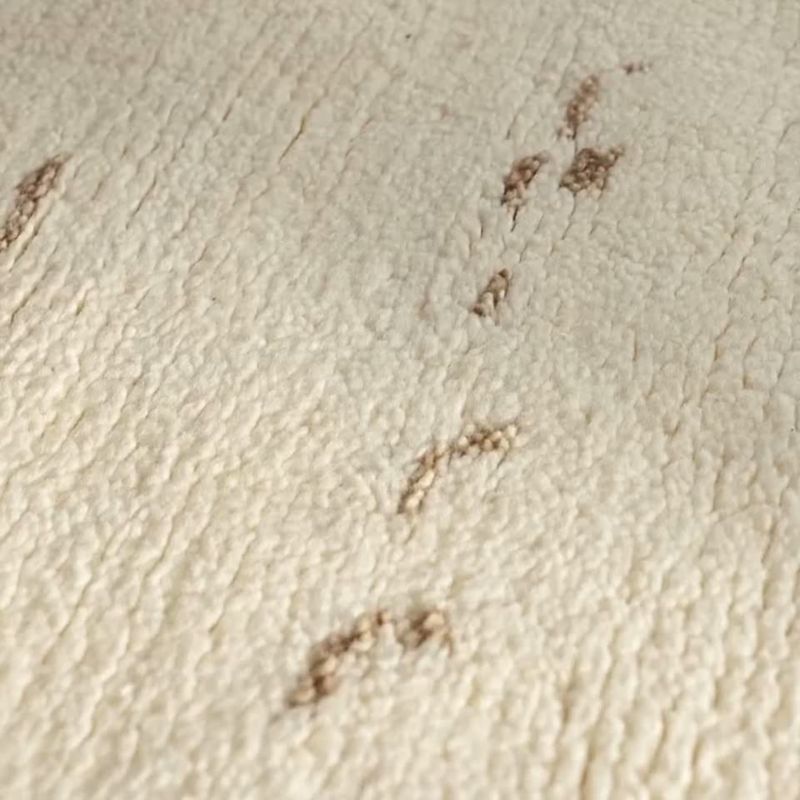 Play Marrin Hand-Knotted Ivory New Zealand Wool Area Rug 8'x10' - video 1 of 1