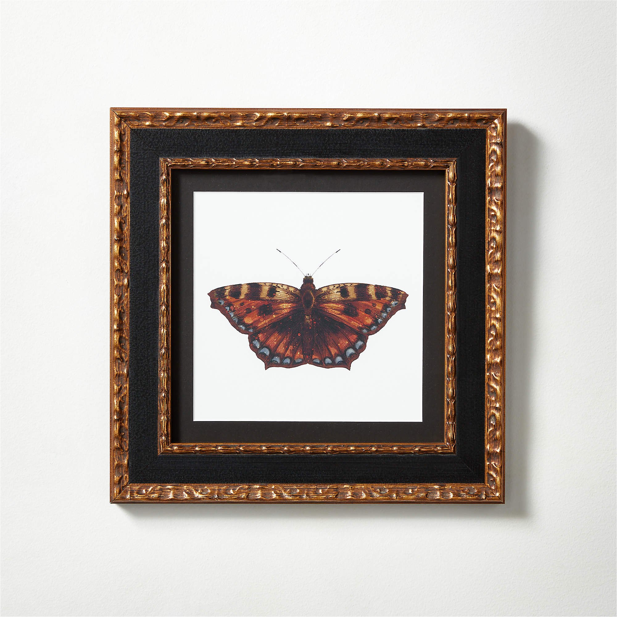 Metamorphosis III Framed Modern Butterfly Print 13"x13" + Reviews CB2