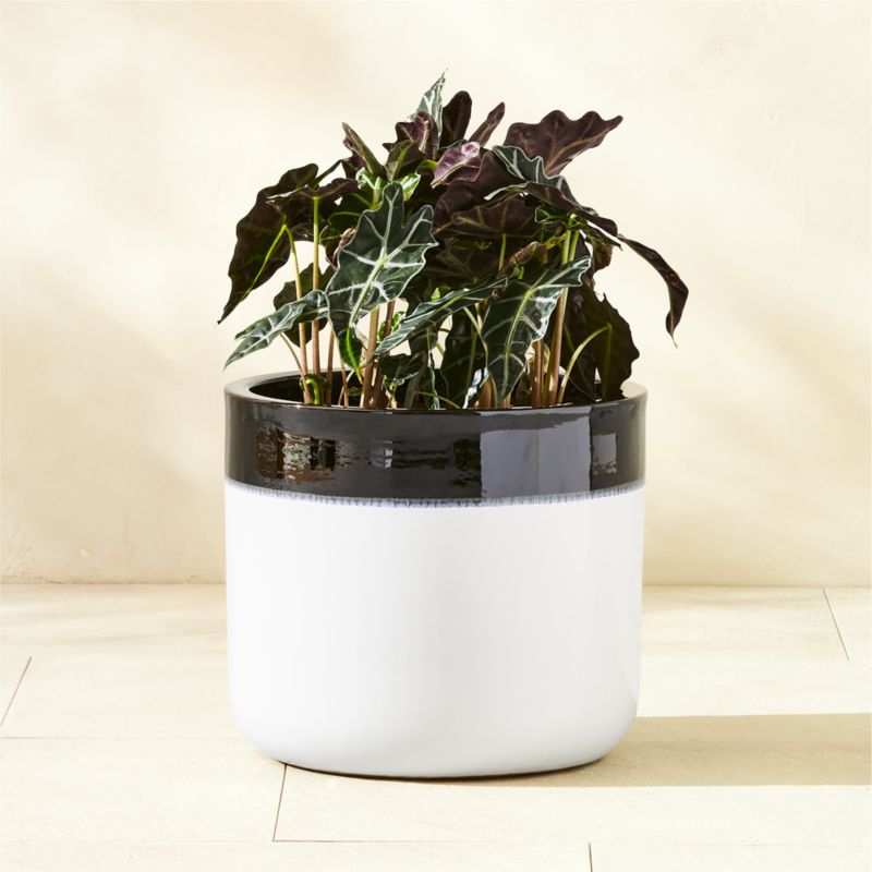 Mezi Black and White Glazed Clay Indoor/Outdoor Planter Large - image 3 of 6