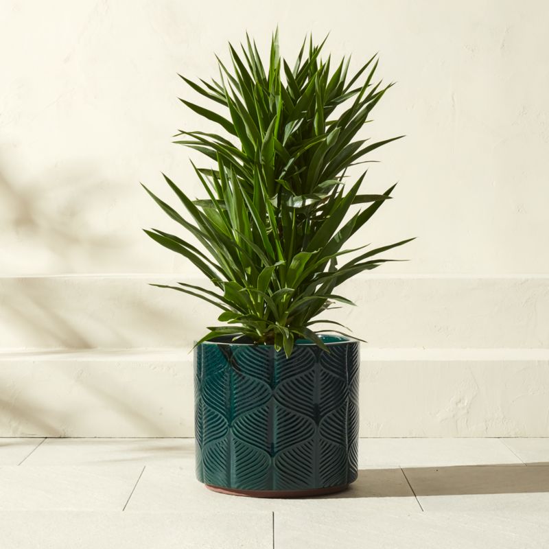 Mina Round Dark Green Reactive Glazed Indoor/Outdoor Planter Large - image 0 of 6