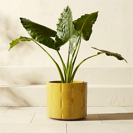 Mina Round Yellow Reactive Glazed Indoor/Outdoor Planter Large