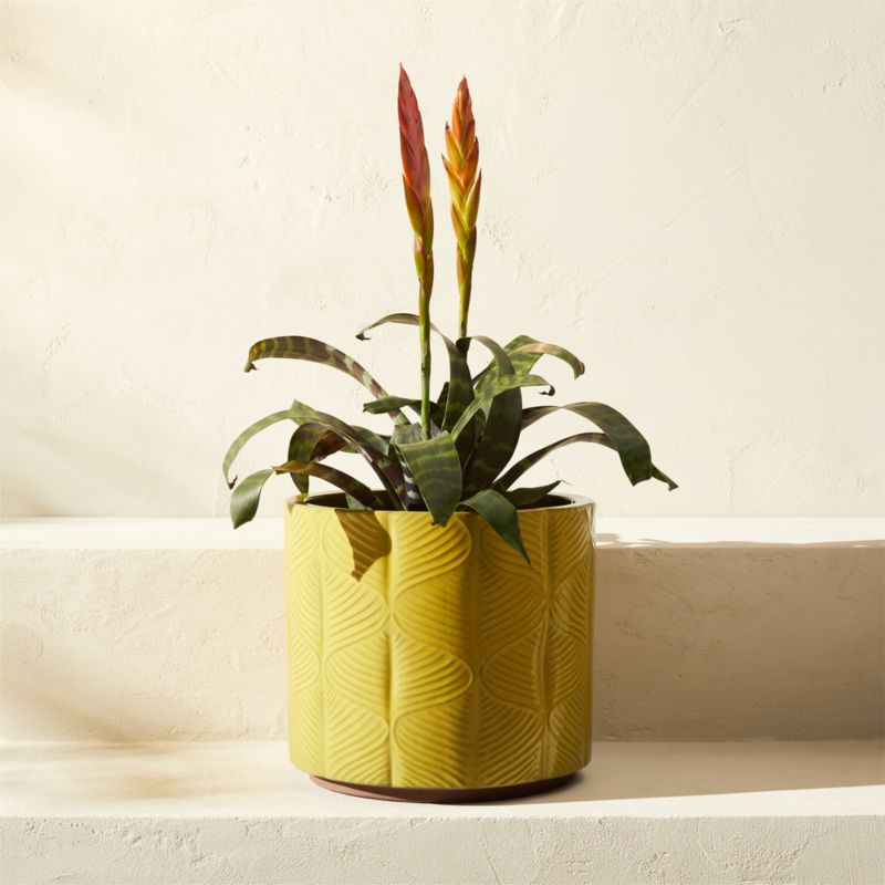 Mina Round Yellow Reactive Glazed Indoor/Outdoor Planter Medium - image 0 of 6