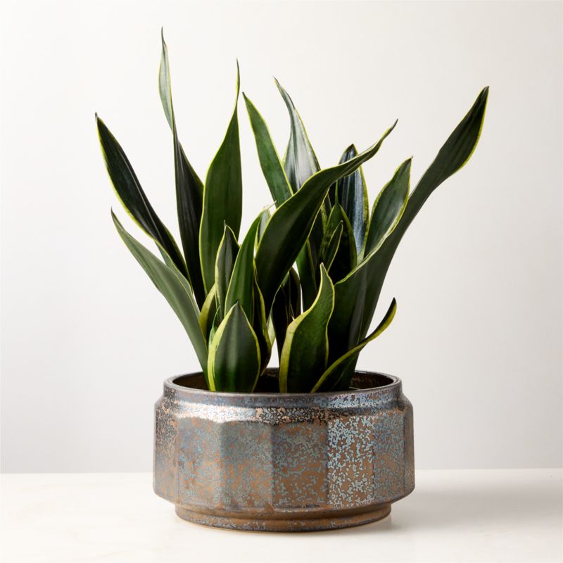 Miramar Paneled Dark Brown Ceramic Planter with Reactive Glaze - image 0 of 4