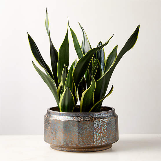 Miramar Paneled Dark Brown Ceramic Planter with Reactive Glaze