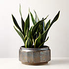 Clio Bubble Green Glass Vase