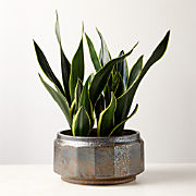Aldron Large Bronze Alabaster Hurricane Candle Holder