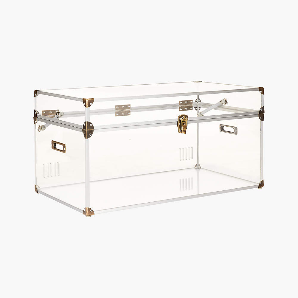 Clear Trunk Case