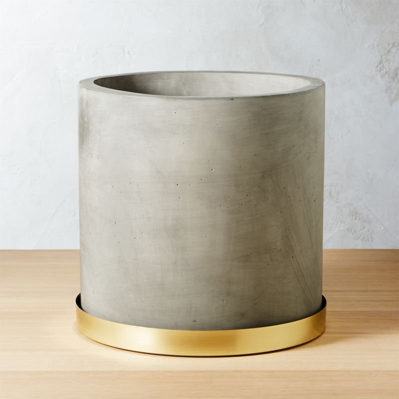 Moda Large Cement Planter Reviews Cb2