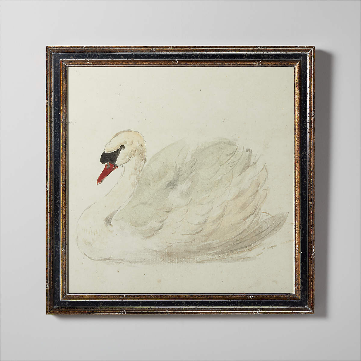 'Mute Swan' Framed Reproduction by Aert Schouman 20"X20" CB2