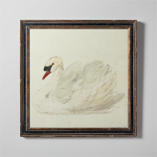 'Mute Swan' Framed Reproduction by Aert Schouman 20"X20"