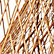 Natural Bamboo