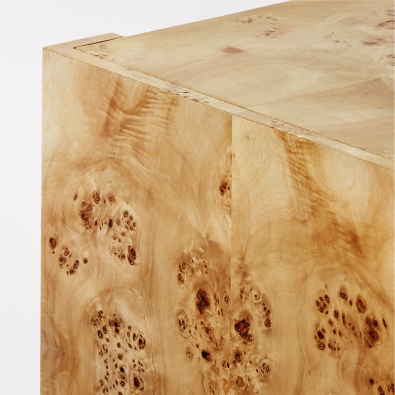 Niche Neutral Burl Wood Console Table 54