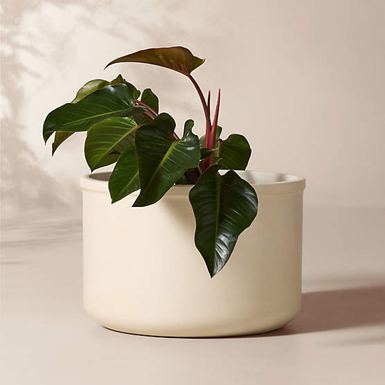 Oakley Round Faux Limestone Indoor/Outdoor Large Planter 18.5"H