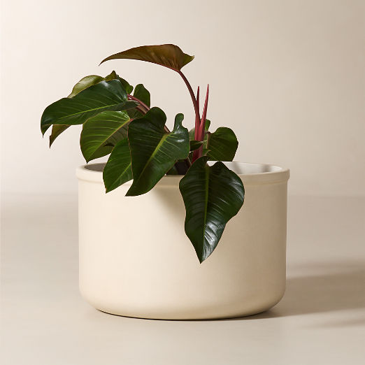 Oakley Round Faux Limestone Indoor/Outdoor Large Planter 18.5"