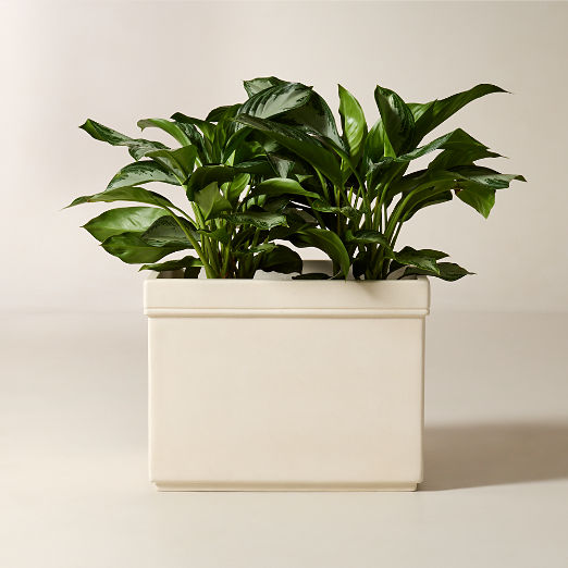 Oakley Square Faux Limestone Indoor/Outdoor Large Planter 19.25"H
