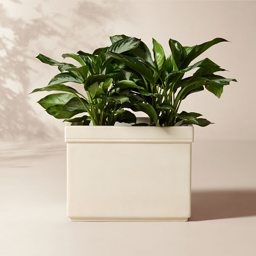 Oakley Square Faux Limestone Indoor/Outdoor Large Planter 19.25"H