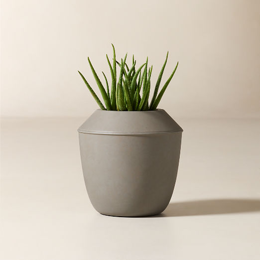 Olympia Dark Grey Cement Indoor/Outdoor Medium Planter 16"