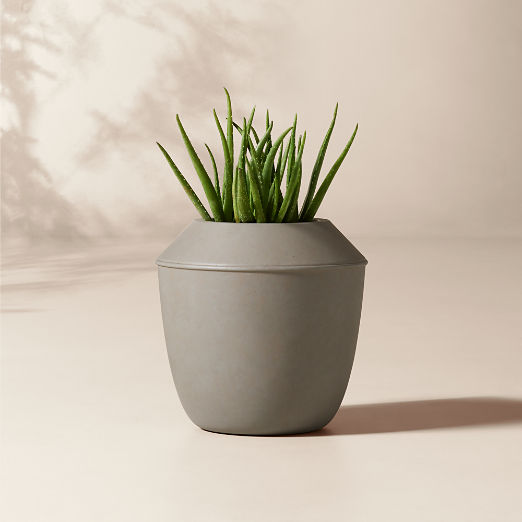 Olympia Dark Grey Cement Indoor/Outdoor Medium Planter 16"H
