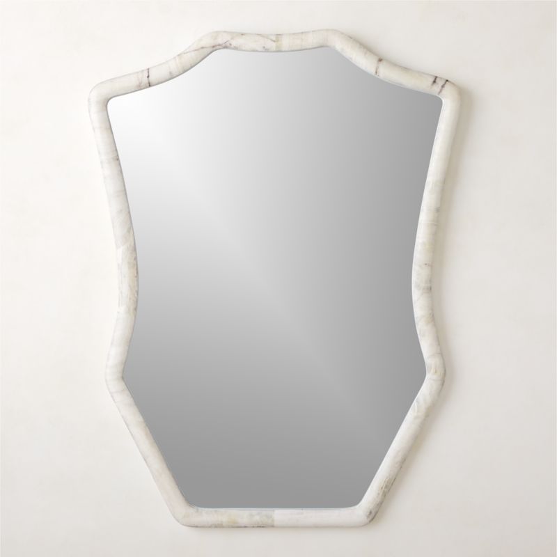 Onyx Framed Wall Mirror 36"x48" - image 0 of 9