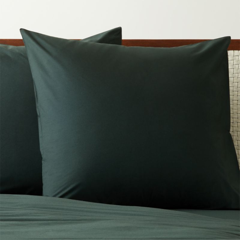 Organic Cotton Percale 400 Thread Count Scarab Green Euro Pillow Shams Set of 2 Reviews CB2