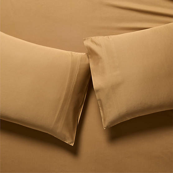 Organic Cotton Sateen 520 Thread Count Smoked Amber Standard Pillowcases Set of 2