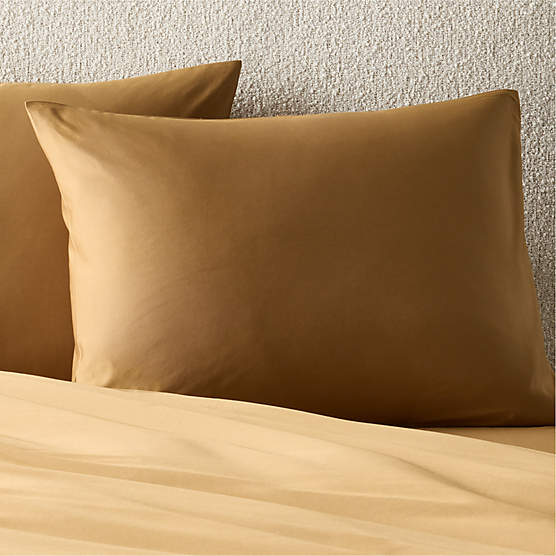 Organic Cotton Sateen 520 Thread Count Smoked Amber Standard Pillow Shams Set of 2