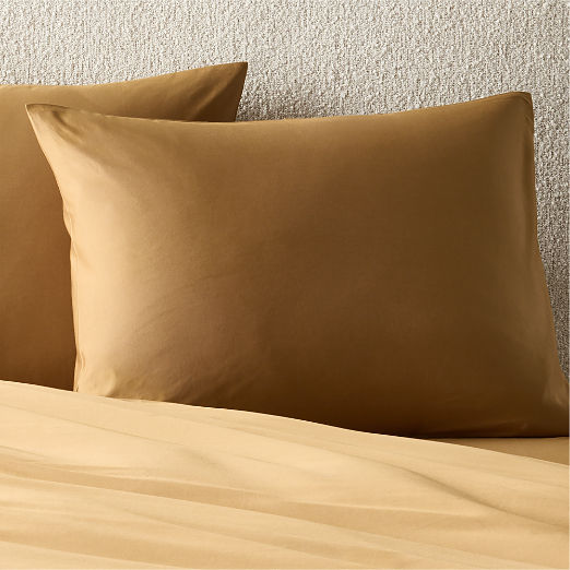 Organic Cotton Sateen 520 Thread Count Smoked Amber Standard Pillow Shams Set of 2