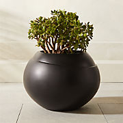Ortice Round Black Indoor/Outdoor Planter Short