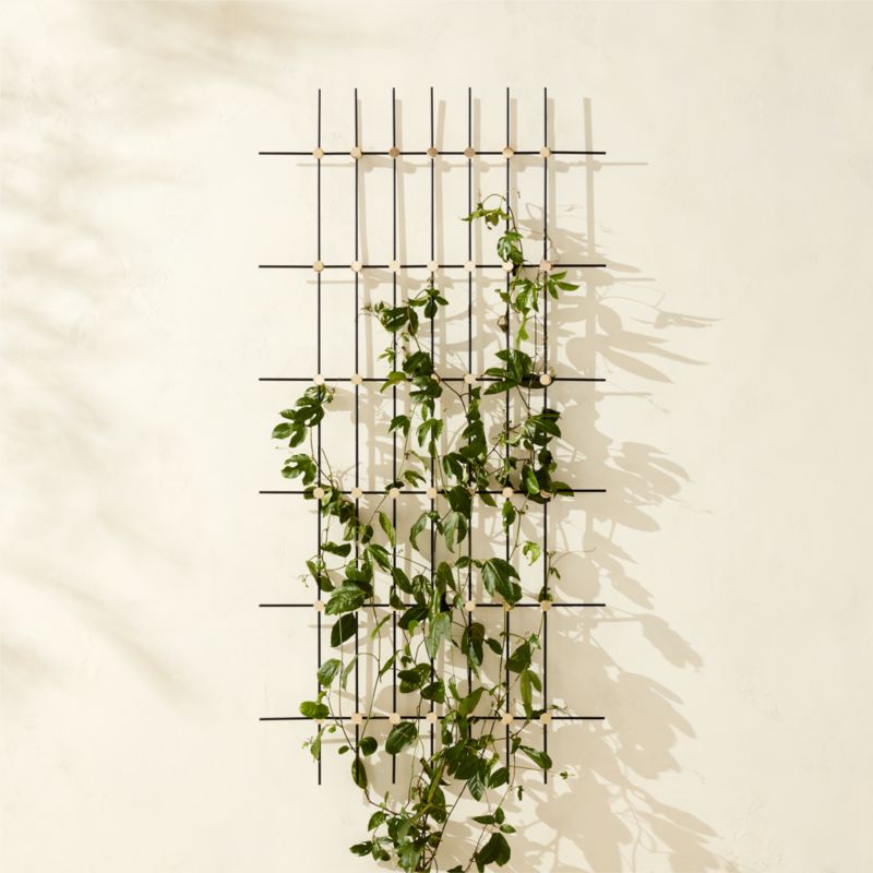 Palet Polished Brass Indoor/Outdoor Trellis - image 0 of 4