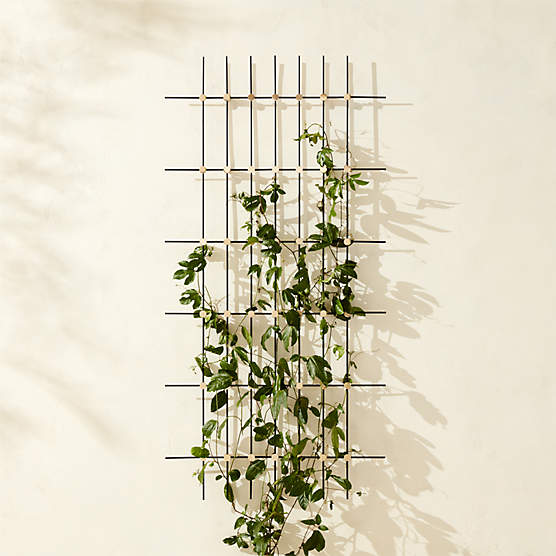 Palet Polished Brass Indoor/Outdoor Trellis