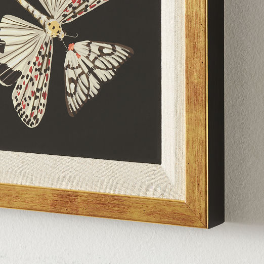 'Papillion' Framed Giclee Art Print 24"x24"