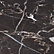 Black Marble