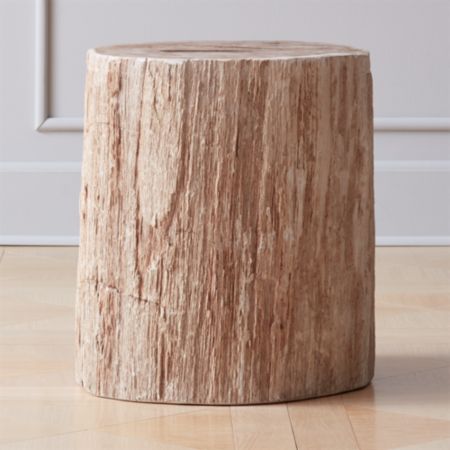 Petrified Wood Side Table Cb2