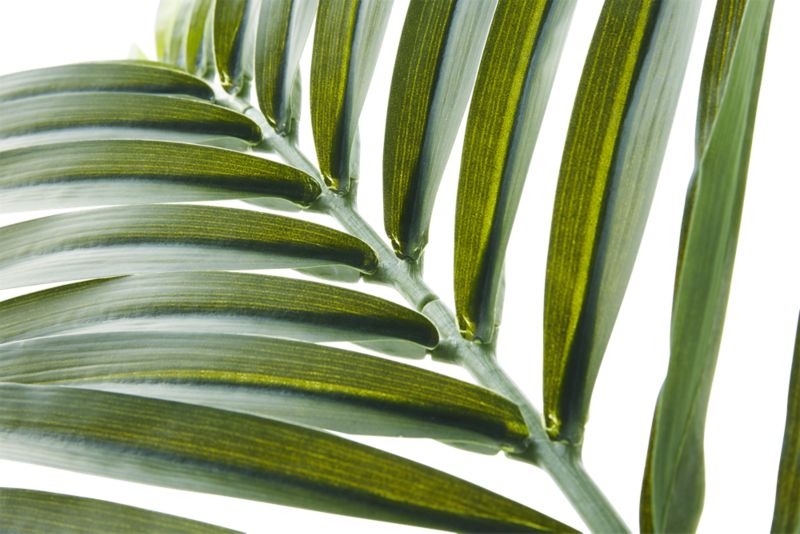 Faux Phoenix Palm Leaf 44" - image 3 of 4