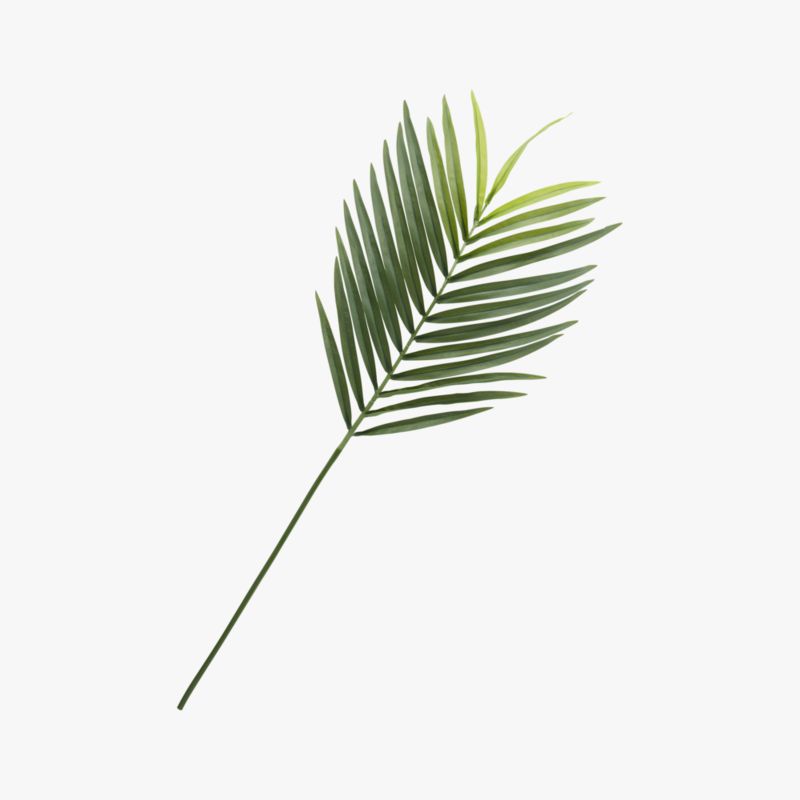 Faux Phoenix Palm Leaf 44" - image 2 of 4