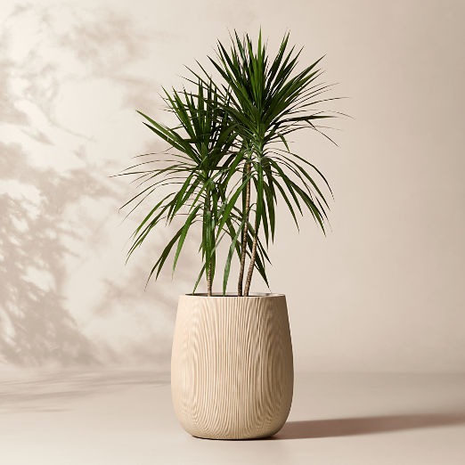 Pod Taupe Cement Indoor/Outdoor XL Planter 29.5"H