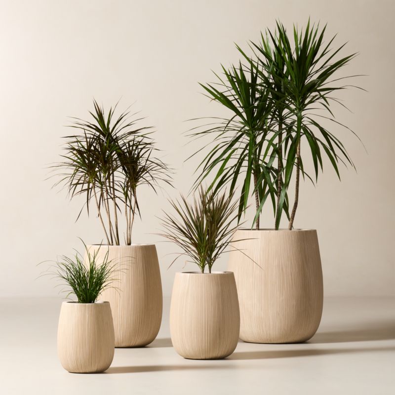 Pod Taupe Cement Indoor/Outdoor Medium Planter 15.75" - image 1 of 4