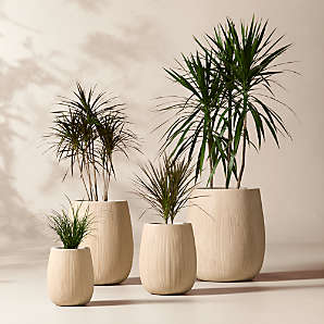 Vases, Planters & Botanicals | CB2 Canada