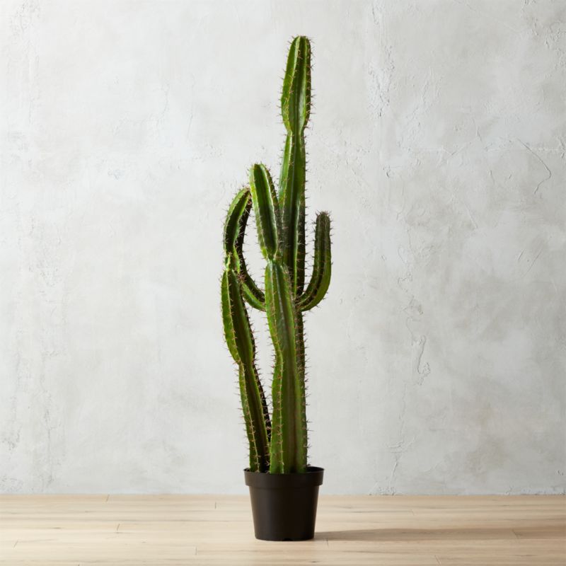 Fake cactus deals plant