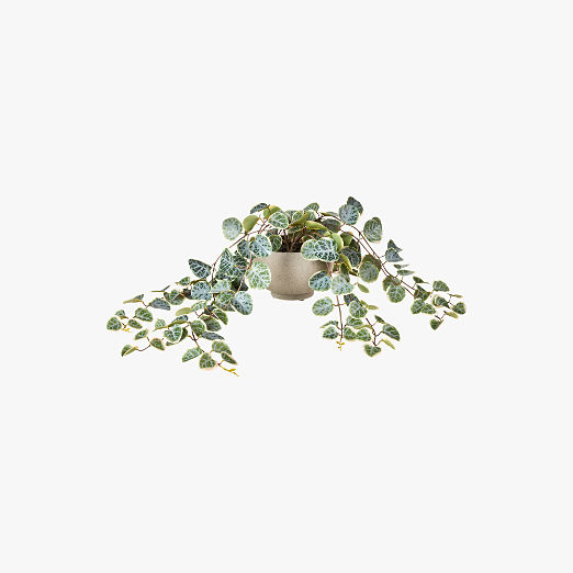 Potted Faux Eucalyptus 8"