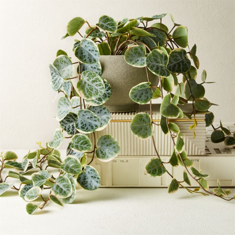 View Potted Faux Eucalyptus 8" details