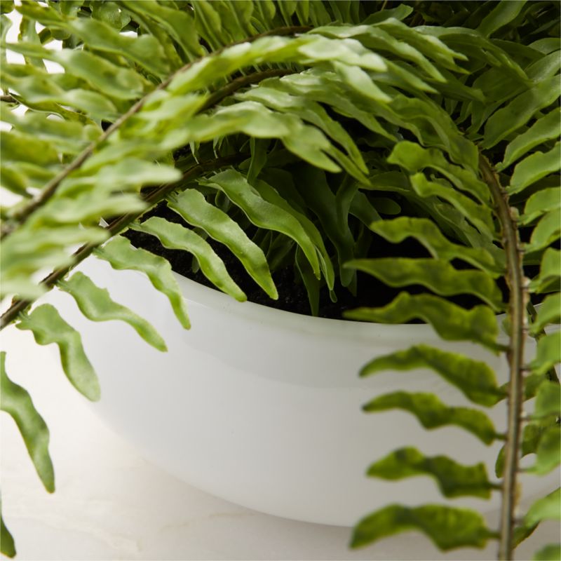 Bera Potted Faux Fern