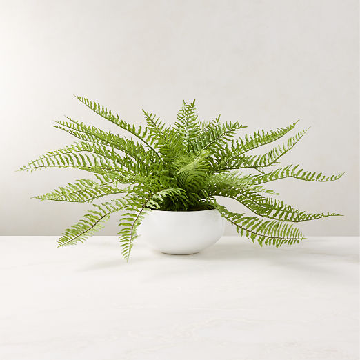 Artificial Plants | CB2 Canada